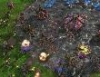 스타크래프트2 (Starcraft II) 저그 플레이 동영상 썸네일